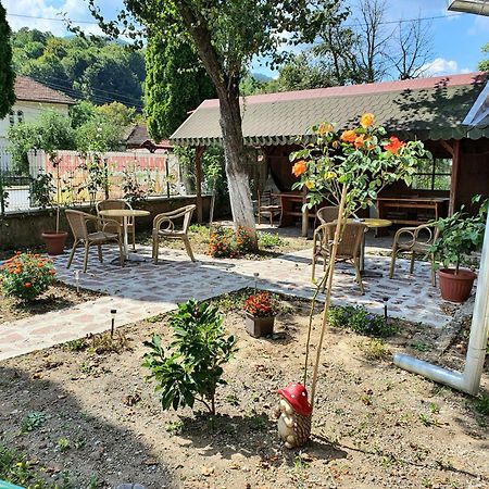 Стаи За Гости Тони Ribarița Exterior foto