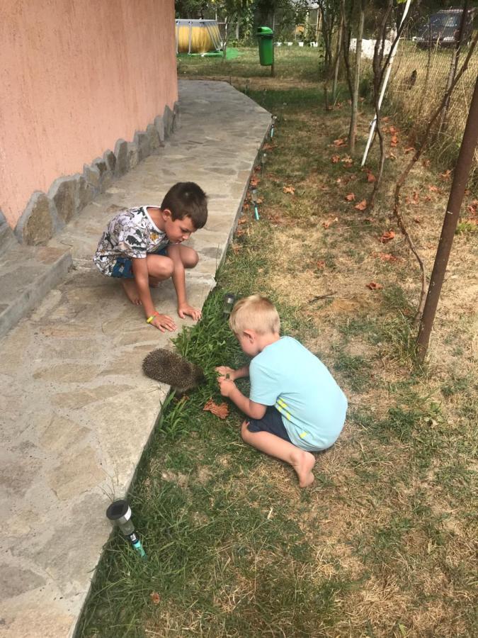 Стаи За Гости Тони Ribarița Exterior foto