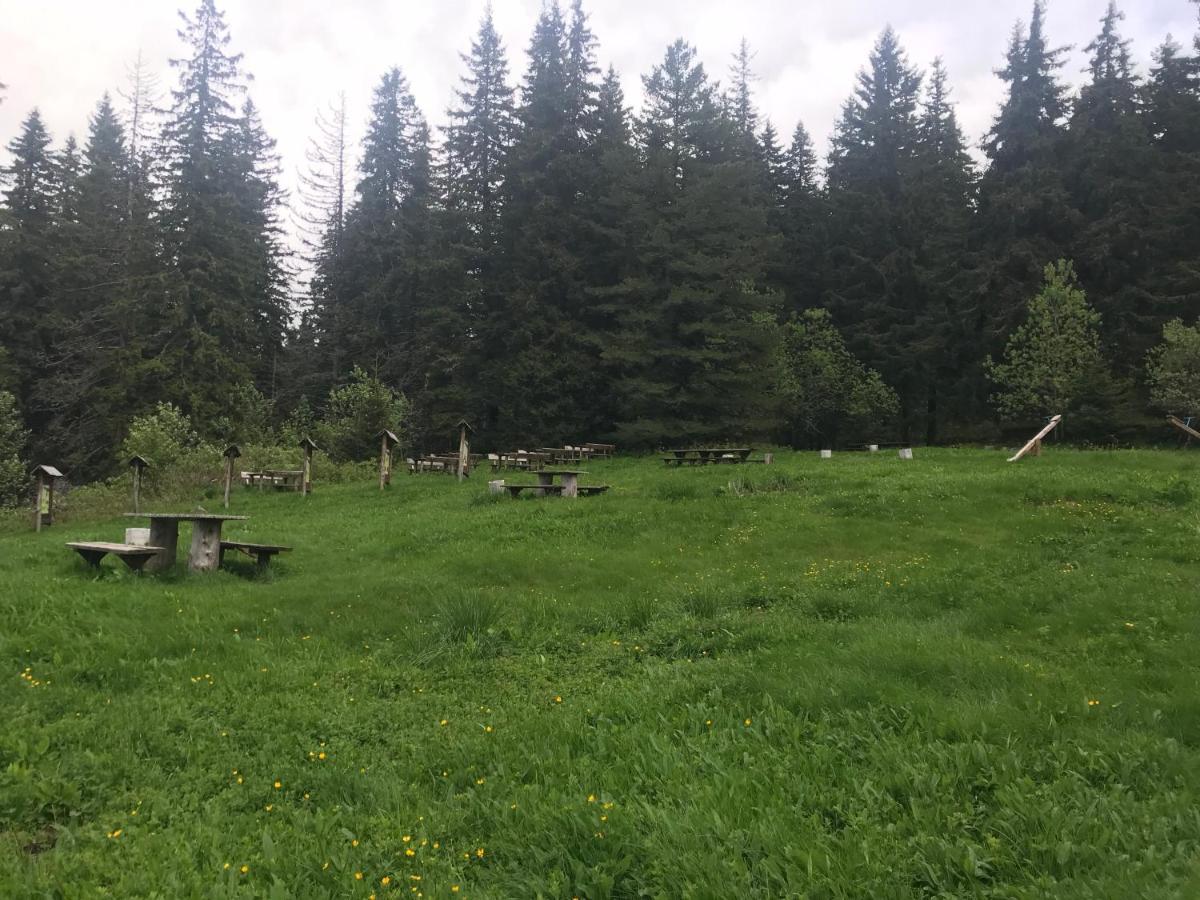 Стаи За Гости Тони Ribarița Exterior foto