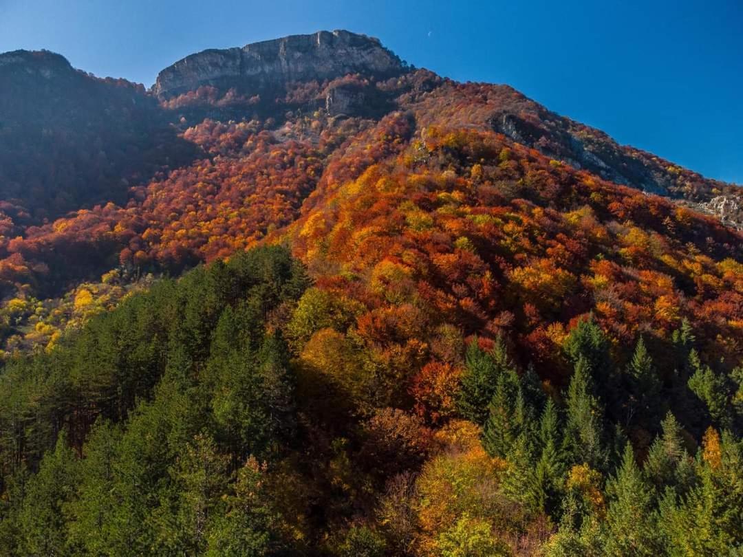 Стаи За Гости Тони Ribarița Exterior foto