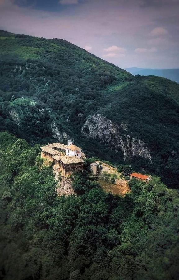 Стаи За Гости Тони Ribarița Exterior foto
