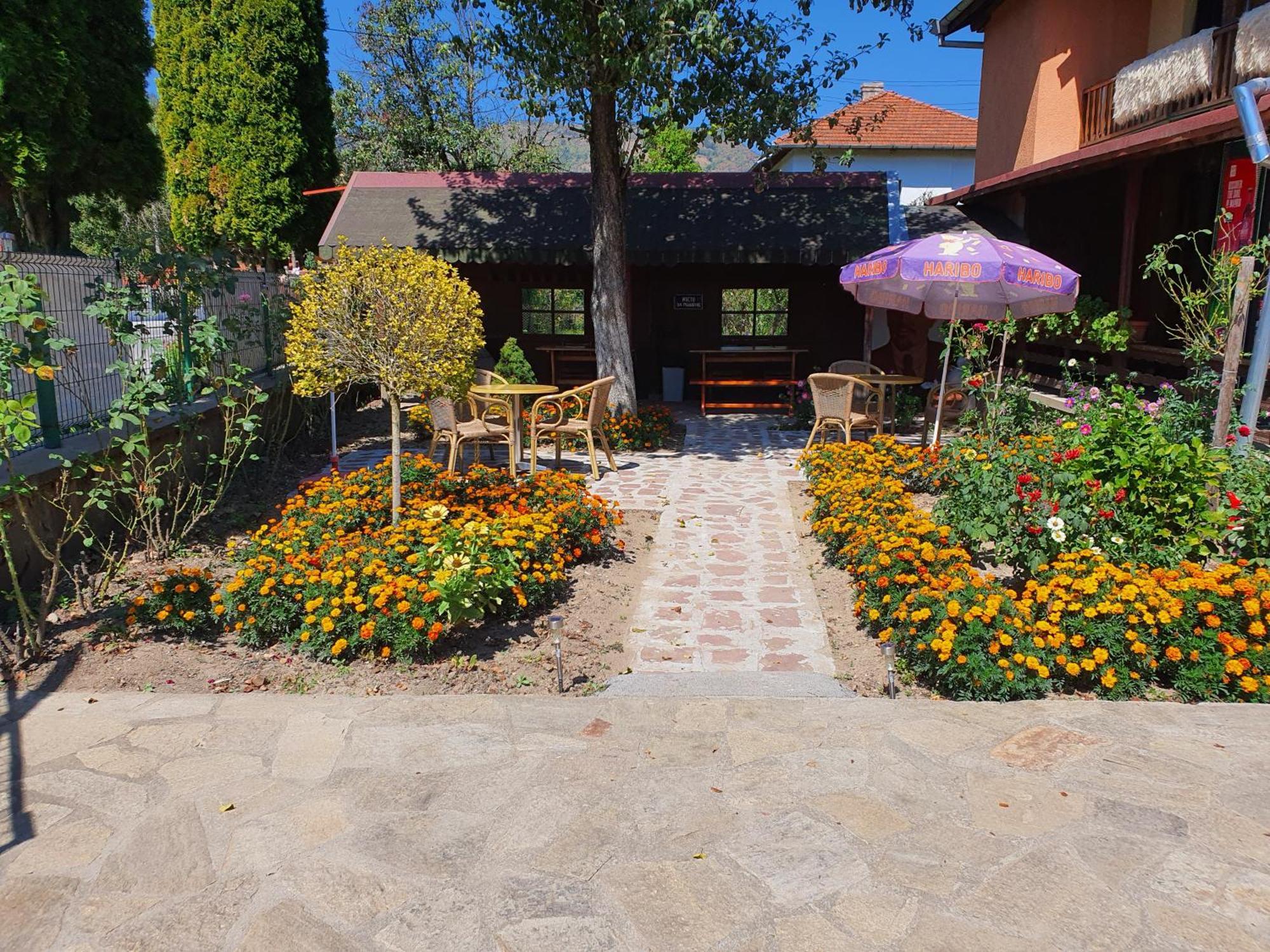 Стаи За Гости Тони Ribarița Exterior foto